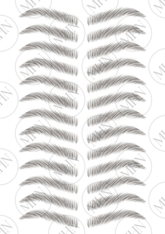 MyBrows 13