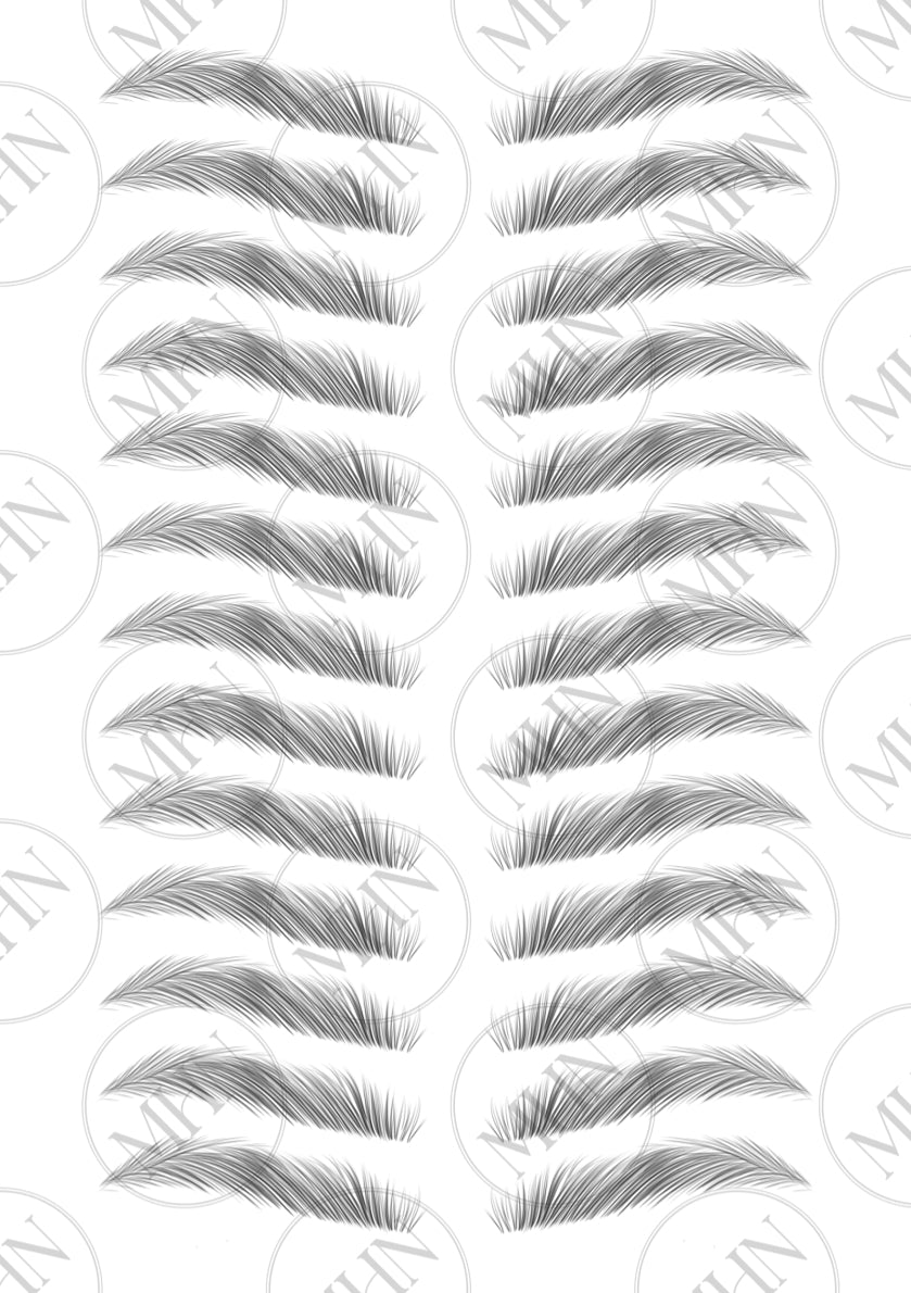 MyBrows 15