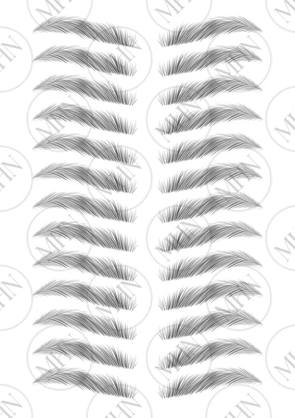 MyBrows 15