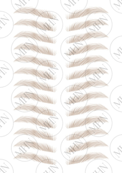 MyBrows 15