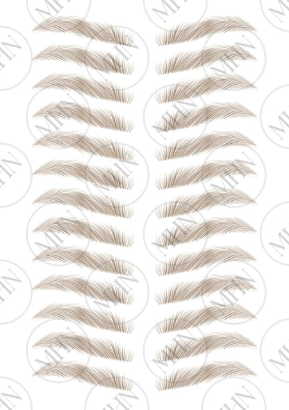 MyBrows 15