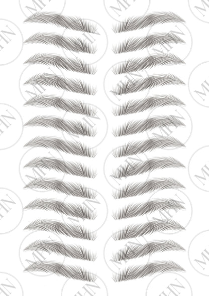 MyBrows 15