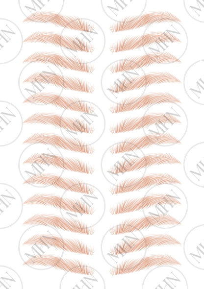 MyBrows 15