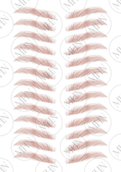 MyBrows 15