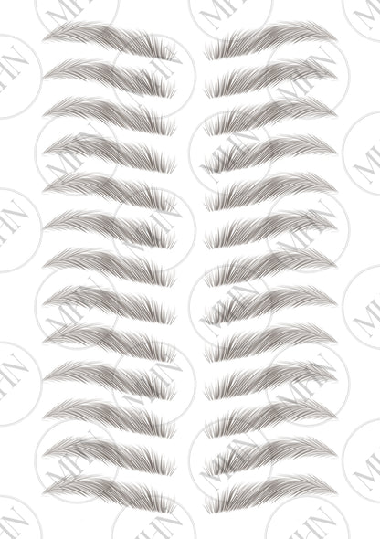 MyBrows 15