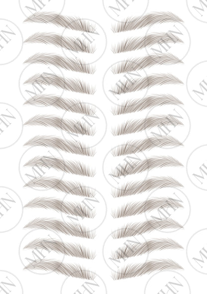MyBrows 15