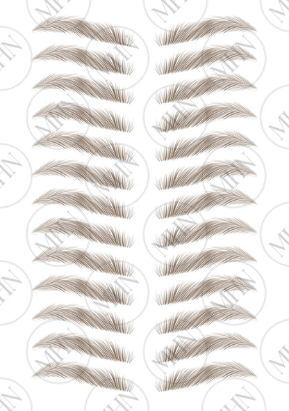 MyBrows 15