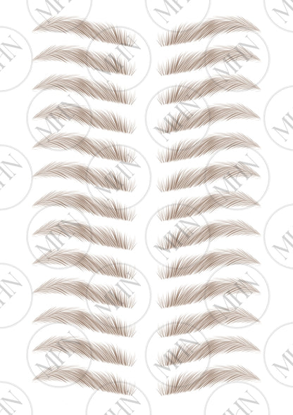 MyBrows 15