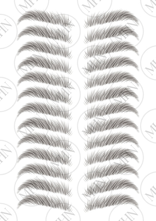 MyBrows 2