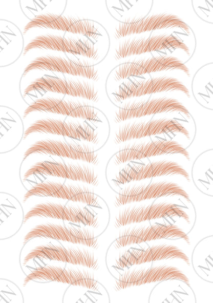 MyBrows 2