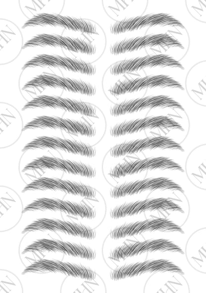 MyBrows 6
