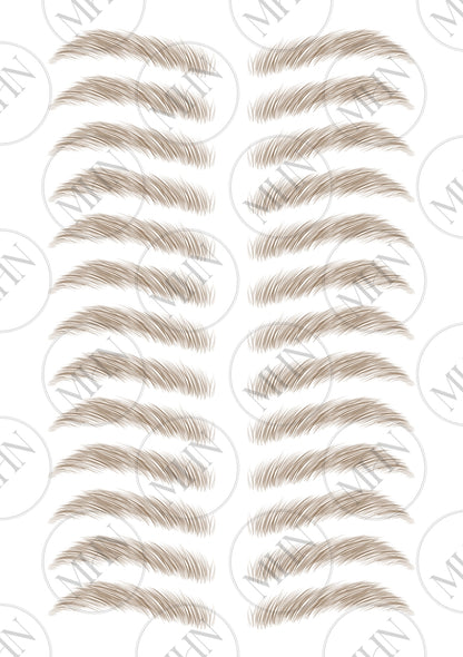 MyBrows 6