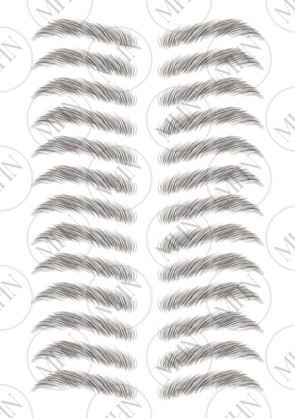 MyBrows 6