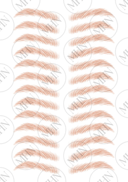 MyBrows 6