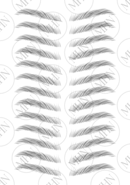 MyBrows 7