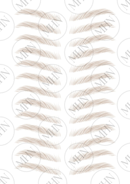 MyBrows 7