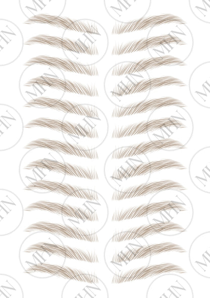 MyBrows 7