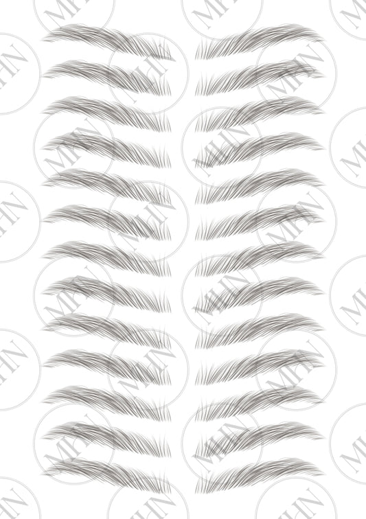 MyBrows 7