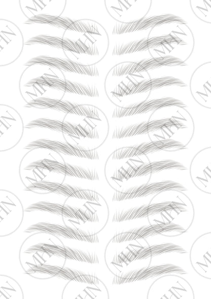 MyBrows 7