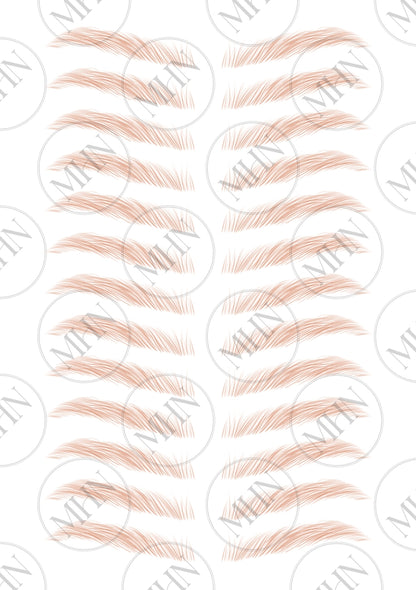 MyBrows 7