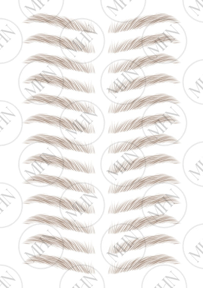 MyBrows 7