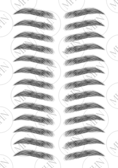 MyBrows 8