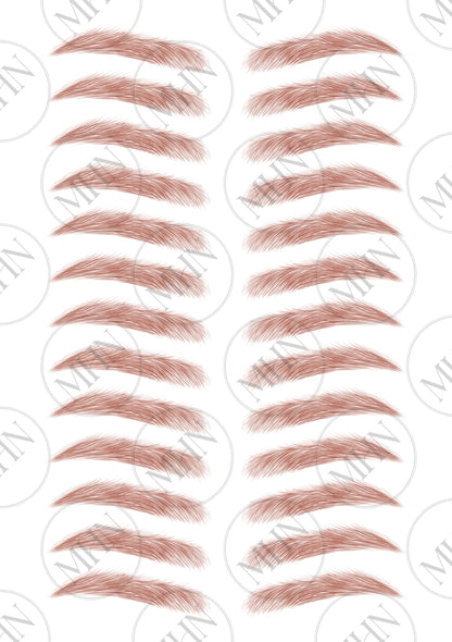 MyBrows 8