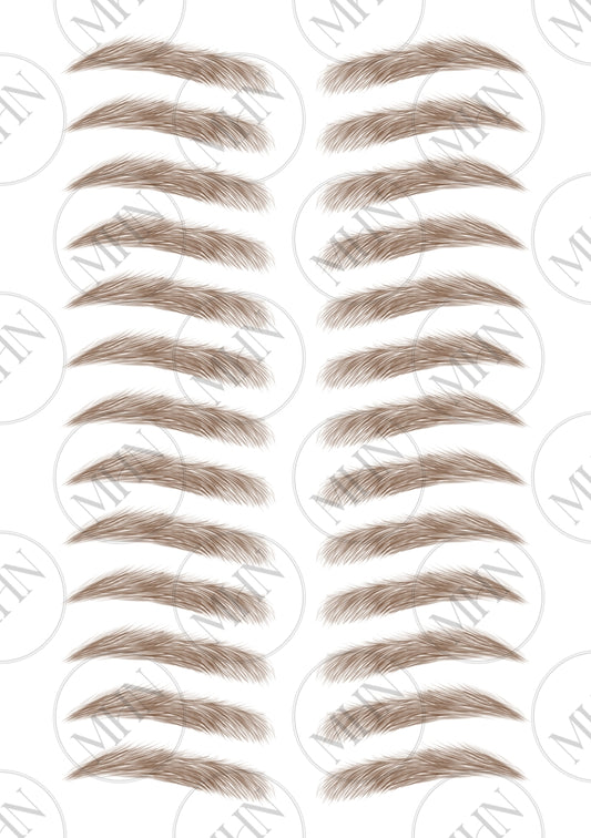 MyBrows 8