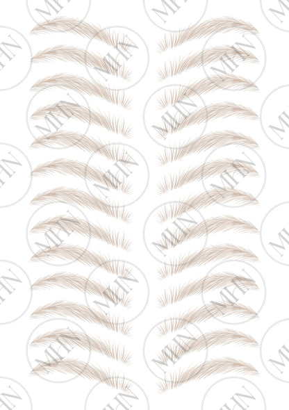 MyBrows 9