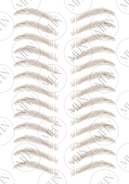 MyBrows 9