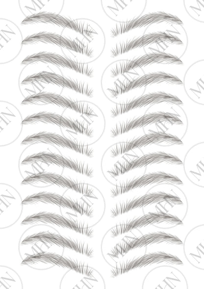 MyBrows 9
