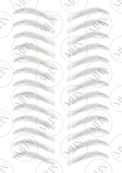 MyBrows 9