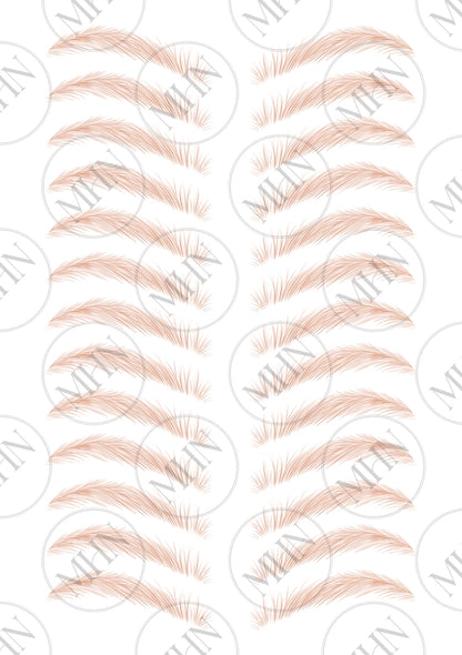 MyBrows 9