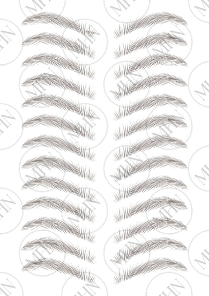 MyBrows 9