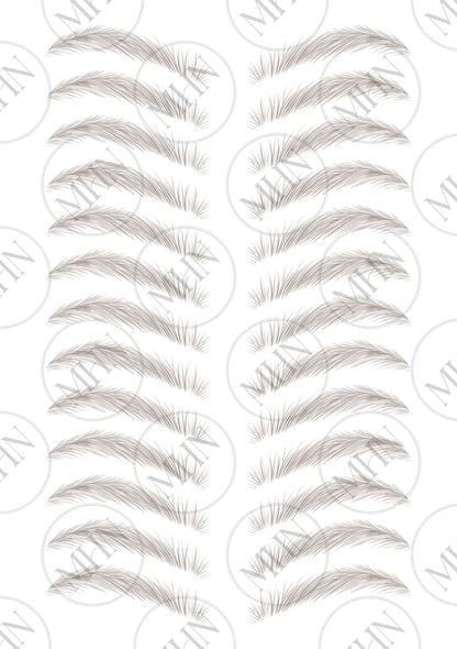 MyBrows 9
