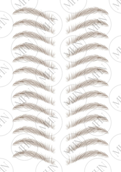 MyBrows 9
